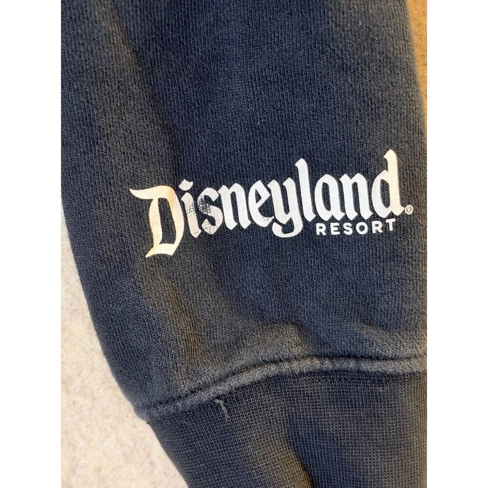 Disneyland Resort 2024 Mickey Mouse Graphic Hoodie Adult Small Black Pullover - Picture 5 of 10
